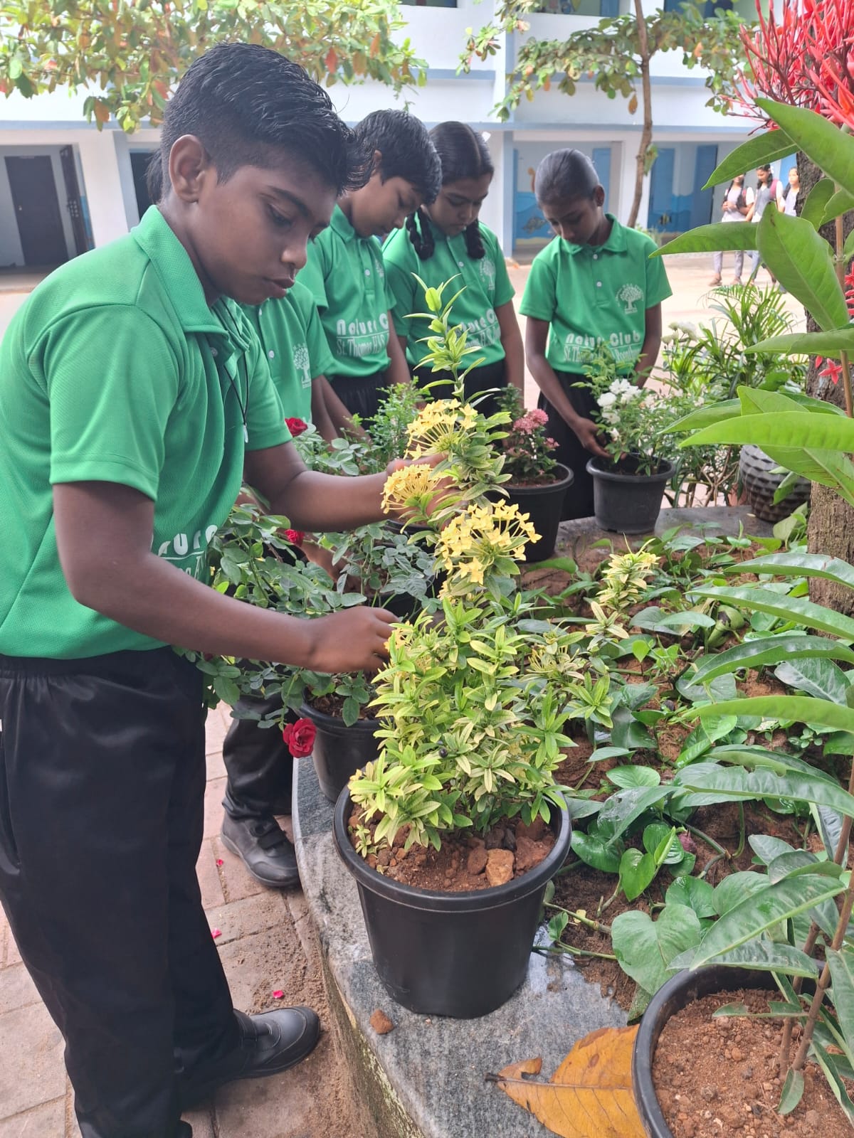 Organic Farming Initiative